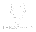 The 88 Sports